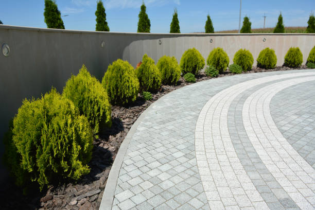 Reasons to Select Us for Your Driveway Paving Requirements in Tulare, CA